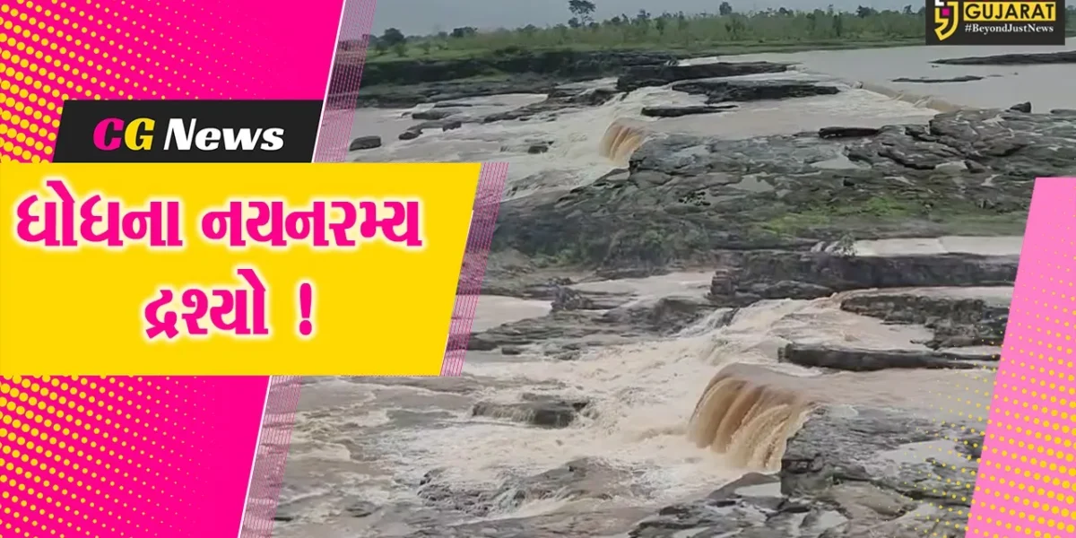 ભરૂચ: નેત્રંગ નજીકના ઘાણીખુટમાં ધારીયા ધોધે નયનરમ્ય સ્વરૂપ ધારણ કર્યું, પ્રવાસીઓની સંખ્યામાં વધારો
