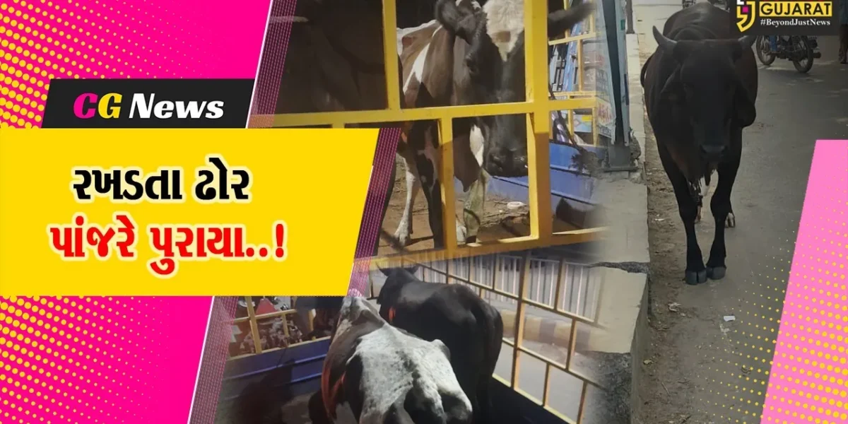 ભરૂચ : જંબુસર નગરમાં રખડતા ઢોરનો ત્રાસ યથાવત, પાલિકા તંત્રએ પશુપાલકો સામે તવાઈ બોલાવી…