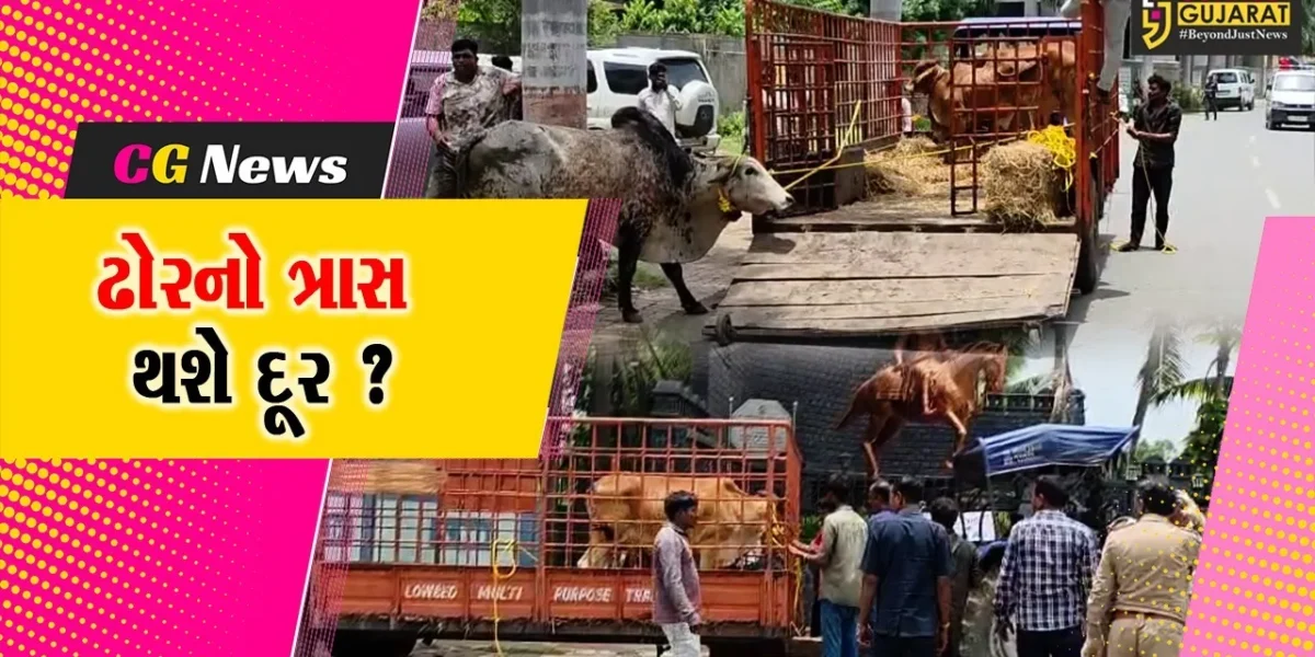 અંકલેશ્વર: GIDCમાં પોલીસ બંદોબસ્ત સાથે રસ્તે રખડતા ઢોર પકડવાની ઝુંબેશ શરૂ કરાય
