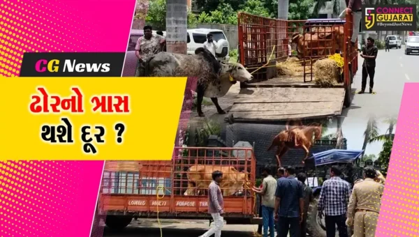 અંકલેશ્વર: GIDCમાં પોલીસ બંદોબસ્ત સાથે રસ્તે રખડતા ઢોર પકડવાની ઝુંબેશ શરૂ કરાય