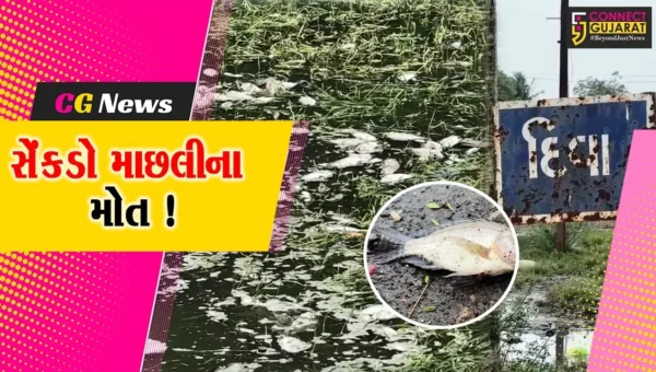 અંકલેશ્વર: જુના દીવા ગામના તળાવમાં સેંકડો માછલીના મોત, આમલાખાડીનું પાણી ભળ્યુ હોવાના આક્ષેપ