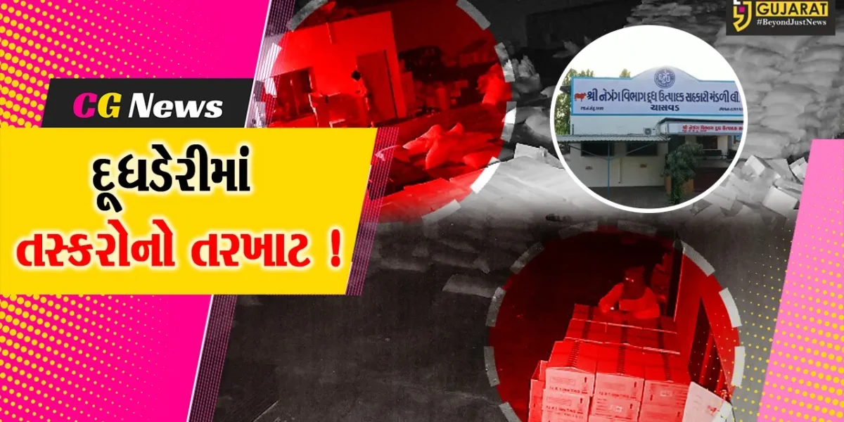 ભરૂચ: નેત્રંગની ચાસવડ દૂધ ડેરીમાંથી ઘીના 900 ડબ્બાની ચોરી, સમગ્ર ઘટના CCTV કેમેરામાં કેદ