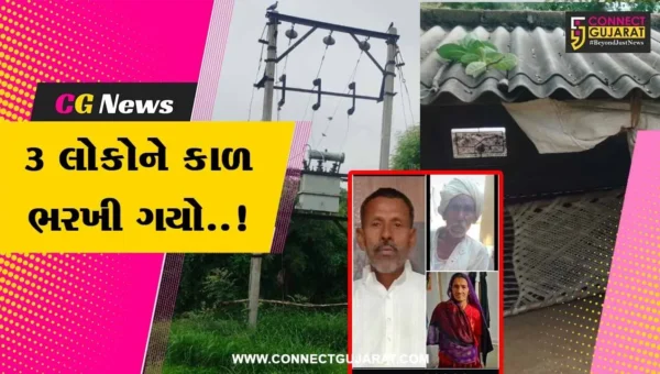 બનાસકાંઠા : વીજ કરંટ લાગતાં માતા-પિતા સહિત પુત્રનું મોત, ધરાધરા ગામમાં શોકનો માહોલ…