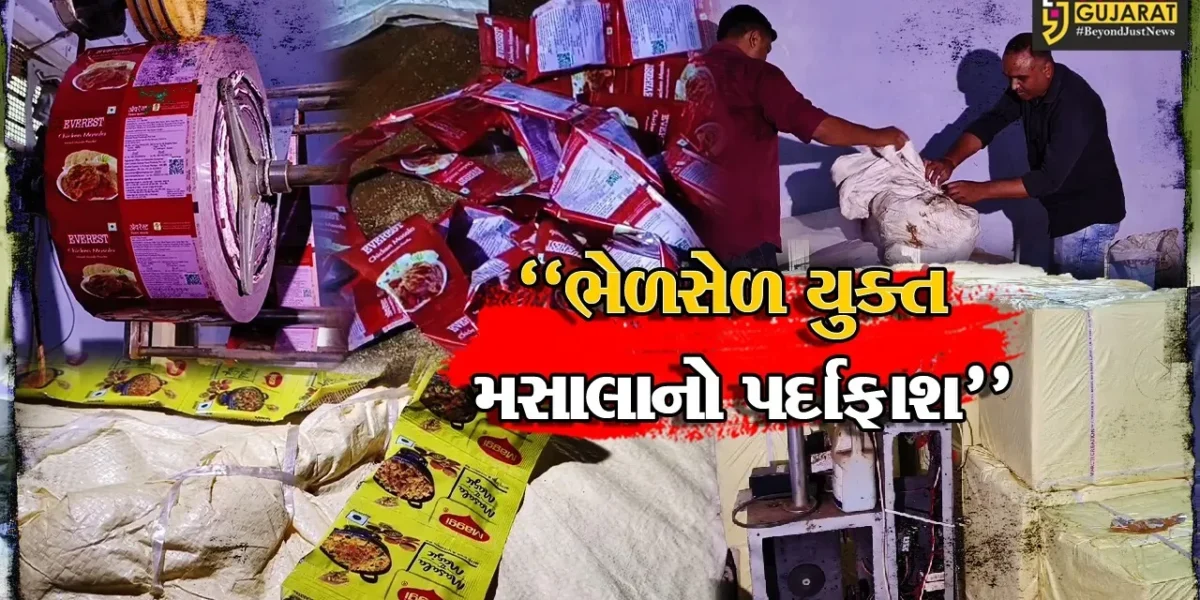 સુરત : એવરેસ્ટ અને મેગીના ભેળસેળ યુક્ત મસાલા બનાવવાનું કારખાનું ઝડપાયું,પોલીસે માલિક સહિત પાંચની કરી ધરપકડ