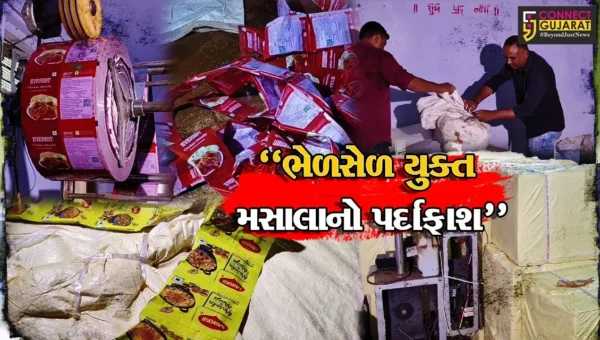 સુરત : એવરેસ્ટ અને મેગીના ભેળસેળ યુક્ત મસાલા બનાવવાનું કારખાનું ઝડપાયું,પોલીસે માલિક સહિત પાંચની કરી ધરપકડ