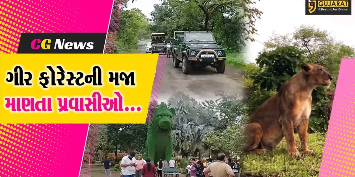 જુનાગઢ : ગીર ફોરેસ્ટ સૌંદર્ય કળાએ ખીલી ઉઠ્યું, સિંહ દર્શન સહિત આહલાદક વાતાવરણની મજા માણતા પ્રવાસીઓ…