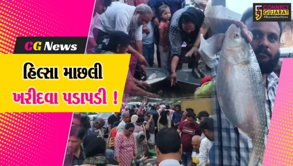 ભરૂચ: હિલ્સા માછલીની બમ્પર આવક વચ્ચે બરફની અછતના કારણે ભાવ ગગડયા, મરછી ખરીદવા જાણે મેળો ભરાયો