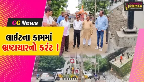 ભરૂચ: આઇકોનીક રોડ સહિત અન્ય વોર્ડમાં હાઈમાસ્ટ લાઈટના કામમાં કૌભાંડના કોંગ્રેસના આક્ષેપ, શાસકોએ આપ્યા તપાસના આદેશ