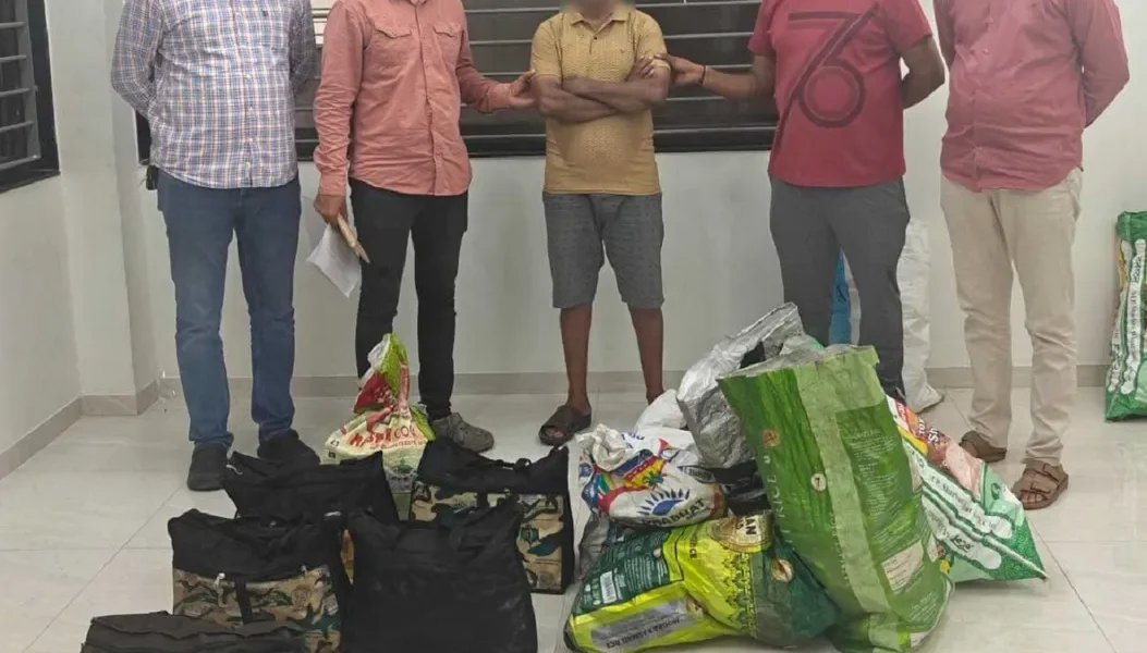 ભરૂચ: મોંઘી બ્રાન્ડની બોટલોમાં સસ્તો દારૂ ભરી વેચવાનું કૌભાંડ ઝડપાયું, આરોપીની ધરપકડ