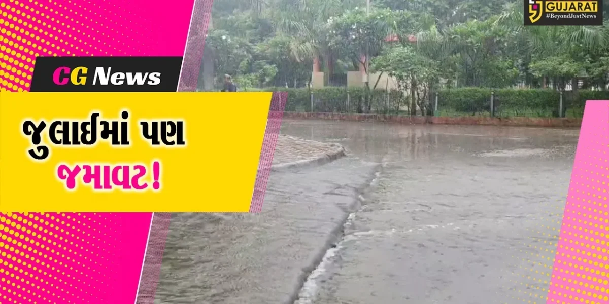 ભરૂચ: એક અઠવાડિયાના વિરામ બાદ મેઘરાજાની પુન: ધમાકેદાર બેટિંગ, તમામ 9 તાલુકા ભીંજાયા