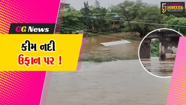 ભરૂચ: અનરાધાર વરસાદના પગલે કીમ નદી બે કાંઠે, હાંસોટના સાહોલ ગામ નજીક નદીના નીરનો ધસમસતો પ્રવાહ