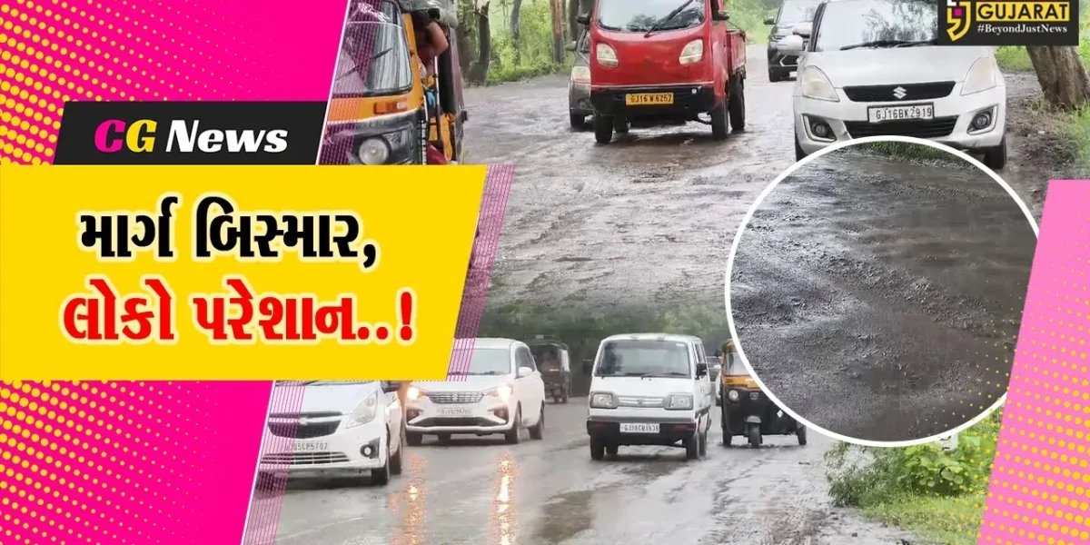અંકલેશ્વર-હાંસોટને જોડતા સ્ટેટ હાઇવેની બિસ્માર હાલત, અનેક વાહન ચાલકો પરેશાન…