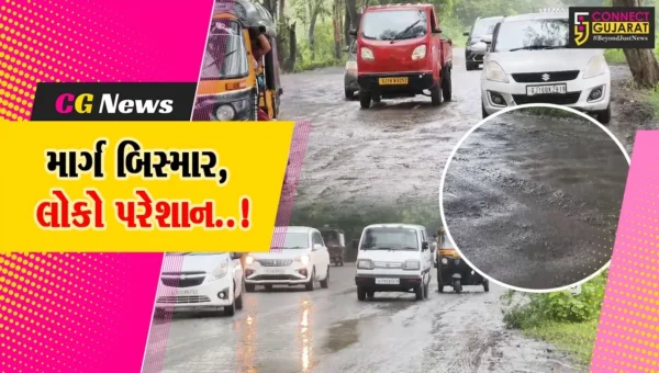 અંકલેશ્વર-હાંસોટને જોડતા સ્ટેટ હાઇવેની બિસ્માર હાલત, અનેક વાહન ચાલકો પરેશાન…