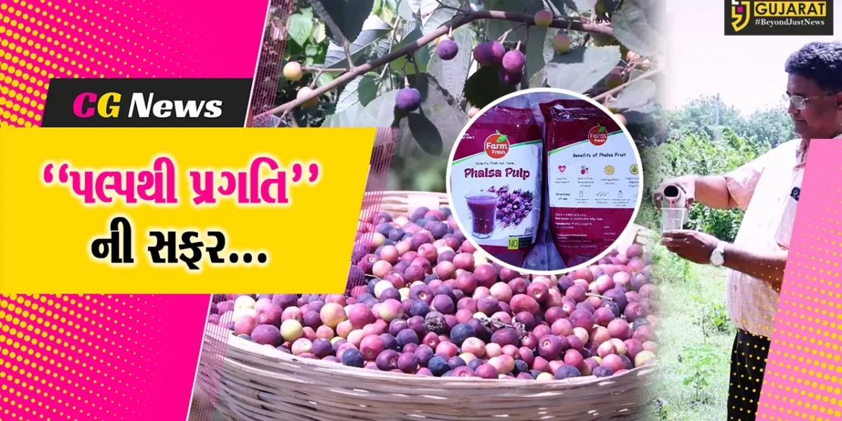 અમદાવાદ : દસ્ક્રોઈના વાંચ ગામના પ્રગતિશીલ ખેડૂતે ફાલસાની સફળ ખેતી કરી બતાવી, અન્ય ખેડૂતો માટે પ્રેરણારૂપ બન્યા…
