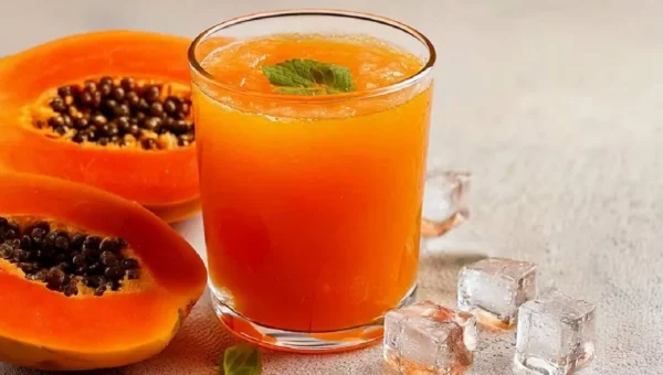 જાણો પપૈયાનો રસ પીવાના ફાયદા, શરીરમાં થશે આશ્ચર્યજનક ફેરફારો