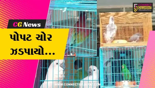 અમદાવાદ : રૂ. 15 લાખના 11 વિદેશી પોપટની ચોરી કરનાર શખ્સ ઝડપાયો, અન્ય 2 લોકોની શોધખોળ…