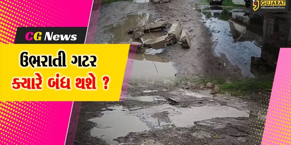ભરૂચ: રહાડપોર ગામના મિલન નગરમાં બિસ્માર માર્ગ- ઉભરાતી ગટરની સમસ્યા, સ્થાનિકોએ પ્રશ્નના નિરાકરણની કરી માંગ