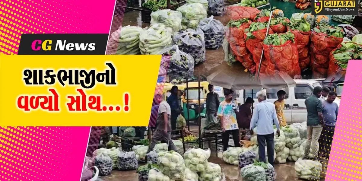 સાબરકાંઠા : અવિરત વરસી રહેલા વરસાદે શાકભાજીના પાકનો વાળ્યો સોથ,ઉત્પાદનમાં ઘટાડો ભાવમાં નોંધાયો વધારો