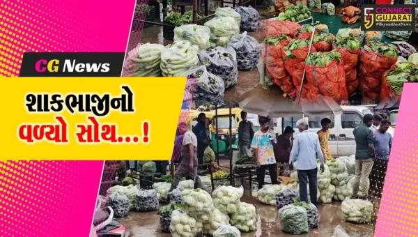 સાબરકાંઠા : અવિરત વરસી રહેલા વરસાદે શાકભાજીના પાકનો વાળ્યો સોથ,ઉત્પાદનમાં ઘટાડો ભાવમાં નોંધાયો વધારો