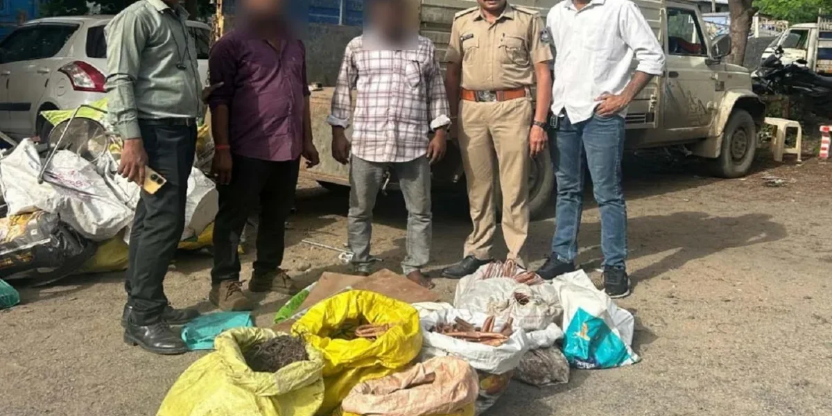 અંકલેશ્વર: ગ્રામ્ય પોલીસે સાગબારા ફાટક નજીકથી ભંગારના જથ્થા સાથે 2 આરોપીની કરી ધરપકડ, રૂ.3.24 લાખનો મુદ્દામાલ જપ્ત