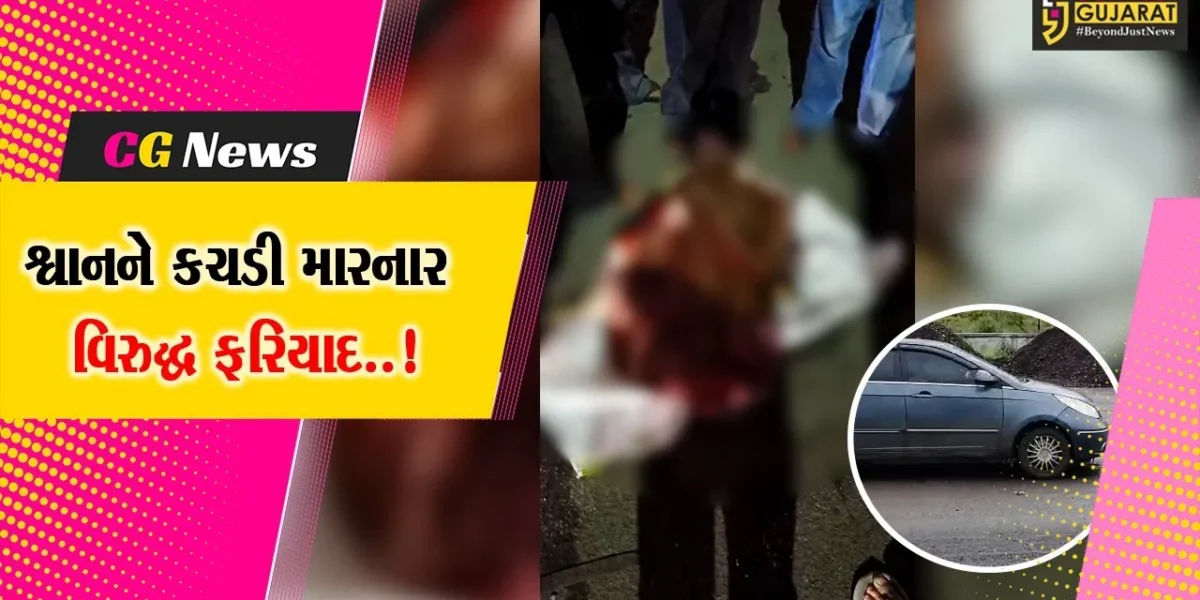 સુરતના ઇતિહાસની પ્રથમ ઘટના..! : કારની અડફેટે શ્વાનને કચડી મારનાર અજાણ્યા કારચાલક વિરુદ્ધ પોલીસ ફરિયાદ નોંધાય…