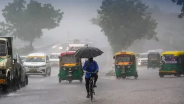 ભરૂચ: છેલ્લા 24 કલાકમાં છૂટોછવાયો વરસાદ, વાલિયામાં સૌથી વધુ 1 ઇંચ વરસાદ