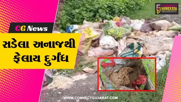 વલસાડ : ખતલવાડામાં ટોકર ખાડીની બાજુમાં અનાજનો જથ્થો નાખતા લોકોમાં રોષ,સરકારી અનાજ હોવાની આશંકા