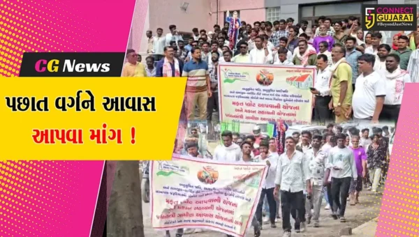 ભરૂચ: અનુસૂચિત જાતિ-જનજાતિ અને પછાત વર્ગને આવાસ યોજનાનો લાભ આપવા માંગ, કલેકટરને પાઠવાયું આવેદનપત્ર
