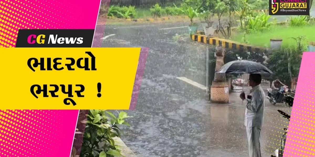 ભરૂચ: ઓરેન્જ એલર્ટ વચ્ચે શહેરના વિવિધ વિસ્તારોમાં ધોધમાર વરસાદ, હજુ 2 દિવસ ભારે