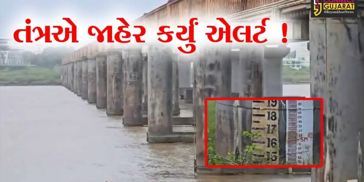ભરૂચ: નર્મદા નદી સિઝનમાં પ્રથમ વખત બે કાંઠે વહેતી થાય એવી શક્યતા, તંત્ર દ્વારા જાહેર કરાયુ એલર્ટ !