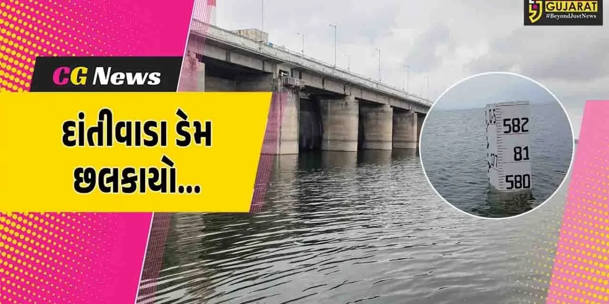 બનાસકાંઠા : જીવાદોરી સમાન દાંતીવાડા ડેમમાં પાણીની ભારે આવક, લોકોને સાવચેત રહેવા તંત્રનું સૂચન..