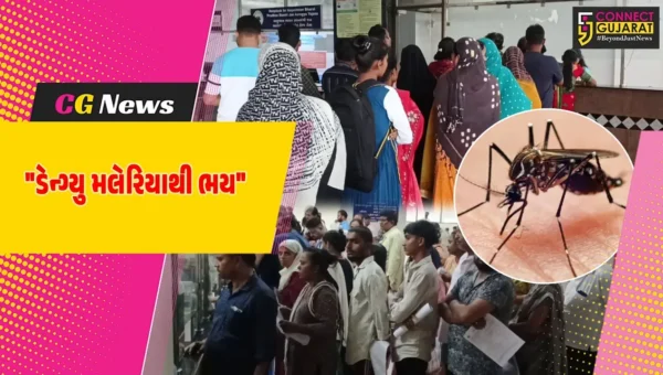 વલસાડ : મચ્છરજન્ય રોગથી ફફડાટ,સિવિલ હોસ્પિટલ ડેન્ગ્યુ અને મલેરિયાના દર્દીઓથી ઉભરાઈ