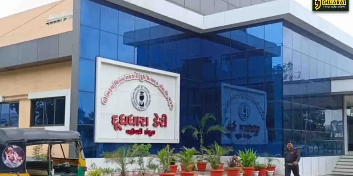 ભરૂચ: દુધધારા ડેરીની ચૂંટણી માટે BJPનું મેન્ડેટ જાહેર, ઘનશ્યામ પટેલ ચેરમેન બને એ નક્કી?