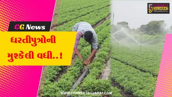 ગીર સોમનાથ : છેલ્લા 15 દિવસથી વરસાદ પાછો ખેંચાતા ધરતીપુત્રો મુશ્કેલીમાં મુકાયા..!