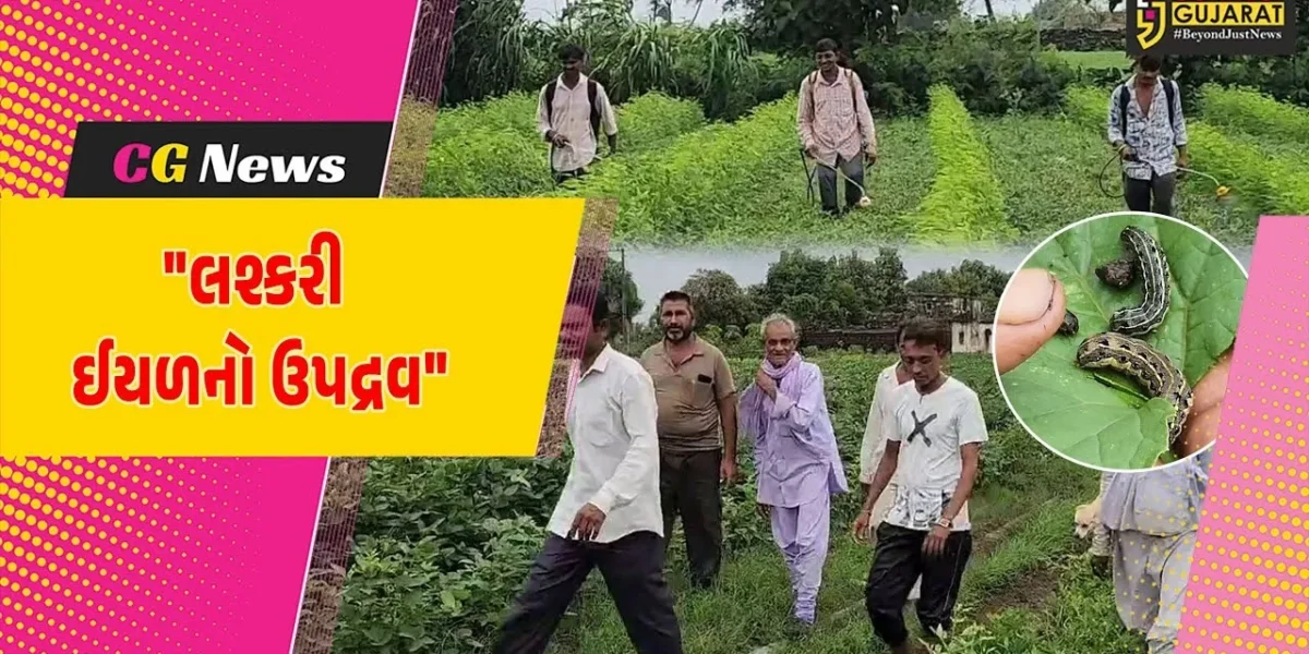 ગીર સોમનાથ : ગ્રામ્ય વિસ્તારમાં લશ્કરી ઈયળના ઉપદ્રવથી મગફળી-સોયાબીન પાકમાં નુકસાન,ખેડૂતોની ચિંતામાં વધારો
