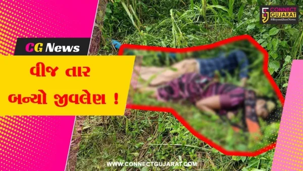 ભરૂચ: વાલિયાના ગુંદીયા ગામની સીમમાં યુવક અને મહિલાનું મોત, ખેતર ફરતે લગાવેલ વીજ તાર અડી જતા સર્જાય દુર્ઘટના