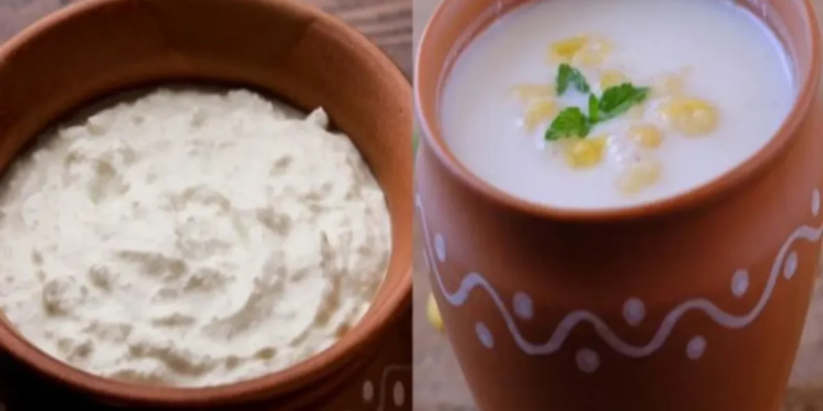 દહીં Vs છાશ, જાણો તમારા સ્વાસ્થ્ય માટે કયું શ્રેષ્ઠ છે
