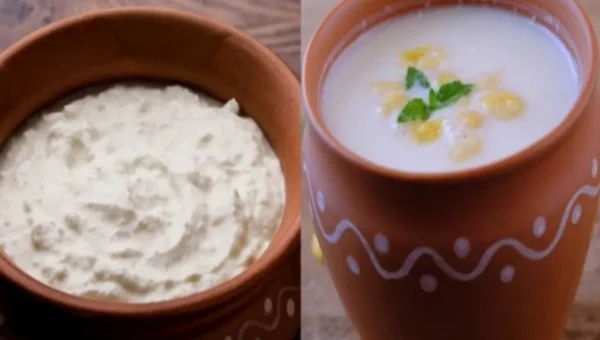 દહીં Vs છાશ, જાણો તમારા સ્વાસ્થ્ય માટે કયું શ્રેષ્ઠ છે