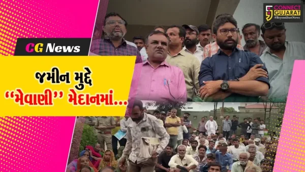 સુરેન્દ્રનગર : સરકાર દ્વારા ફાળવવામાં આવેલી જમીનો પર માથાભારે તત્વોનો કબ્જો,MLA જીજ્ઞેશ મેવાણીએ કર્યા ગંભીર આક્ષેપ