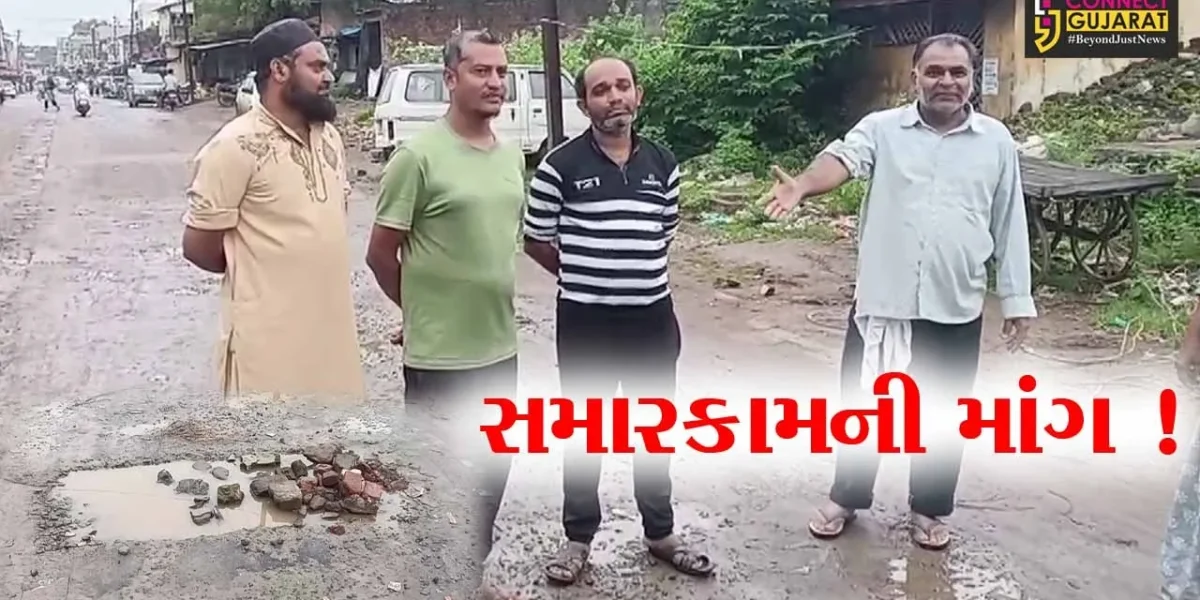 ભરૂચ: નેત્રંગના જવાહર બજારમાં 6 માસ પૂર્વે બનેલ માર્ગની બિસ્માર હાલત, સ્થાનિકોએ સમારકામની કરી માંગ
