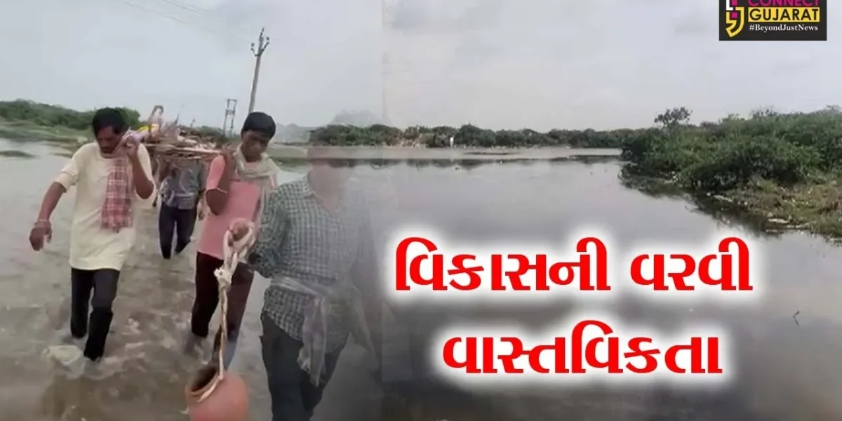 સુરેન્દ્રનગર : પાટડીમાં ઘૂંટણસમા પાણીમાં સ્મશાન યાત્રા કાઢવા ગ્રામજનો મજબૂર,પાલિકામાં રજૂઆત બાદ પણ પરિણામ શૂન્ય