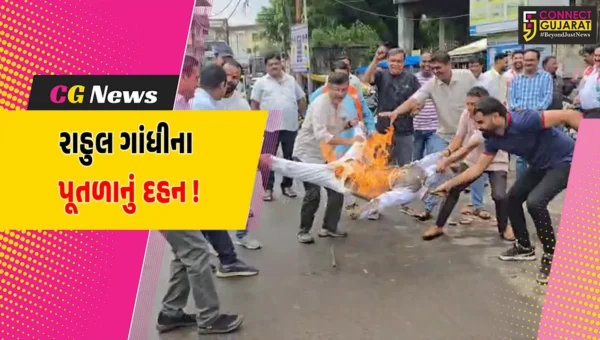 ભરૂચ: ભાજપ દ્વારા રાહુલ ગાંધીના પુતળાનું દહન, PM મોદીના માતા અંગે કરેલ નિવેદનનો વિરોધ