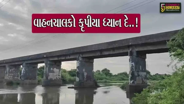 અંકલેશ્વર: હાંસોટ વડોલી રોડ પર આવેલ કીમ નદીના બ્રિજનું આવતીકાલે લોડ ટેસ્ટિંગ, બ્રિજ મોટા વાહનો માટે સવારે 10 કલાક બાદ 3 કલાક બંધ