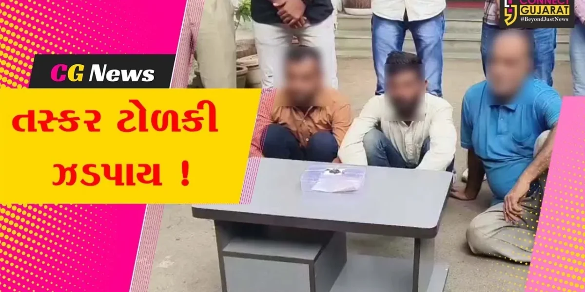 ભરૂચ: વાગરાના સારણ ગામે રૂ.30 લાખના માલમત્તાની ચોરી કરનાર 2 તસ્કરો ઝડપાયા, ચોરીનું સોનુ ખરીદનાર સોનીની પણ ધરપકડ