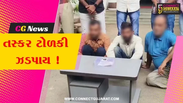 ભરૂચ: વાગરાના સારણ ગામે રૂ.30 લાખના માલમત્તાની ચોરી કરનાર 2 તસ્કરો ઝડપાયા, ચોરીનું સોનુ ખરીદનાર સોનીની પણ ધરપકડ