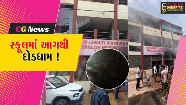 અંકલેશ્વર: ગડખોલ વિસ્તારમાં આવેલ સરસ્વતી વિદ્યામંદિર શાળામાં આગ, સાંકડા રસ્તાના કારણે ફાયર વિભાગ પહોંચી ન શક્યું