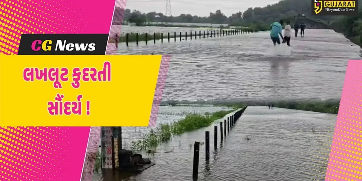 ભરૂચ: વર્ષારાણીની હાજરીમાં નેત્રંગના બલદવા ડેમ નજીકનું સૌંદર્ય સોળે કલાએ ખીલી ઉઠ્યું, સહેલાણીઓમાં આકર્ષણનું કેન્દ્ર