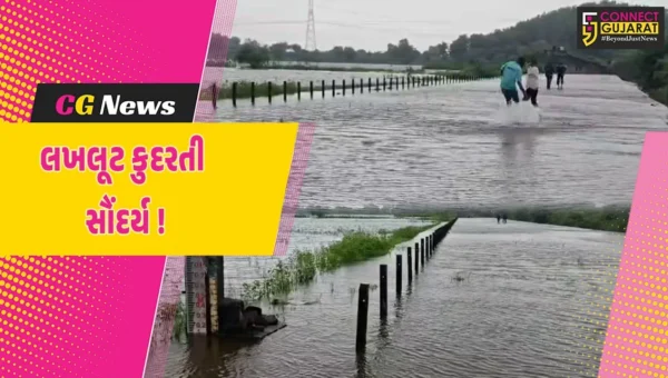 ભરૂચ: વર્ષારાણીની હાજરીમાં નેત્રંગના બલદવા ડેમ નજીકનું સૌંદર્ય સોળે કલાએ ખીલી ઉઠ્યું, સહેલાણીઓમાં આકર્ષણનું કેન્દ્ર