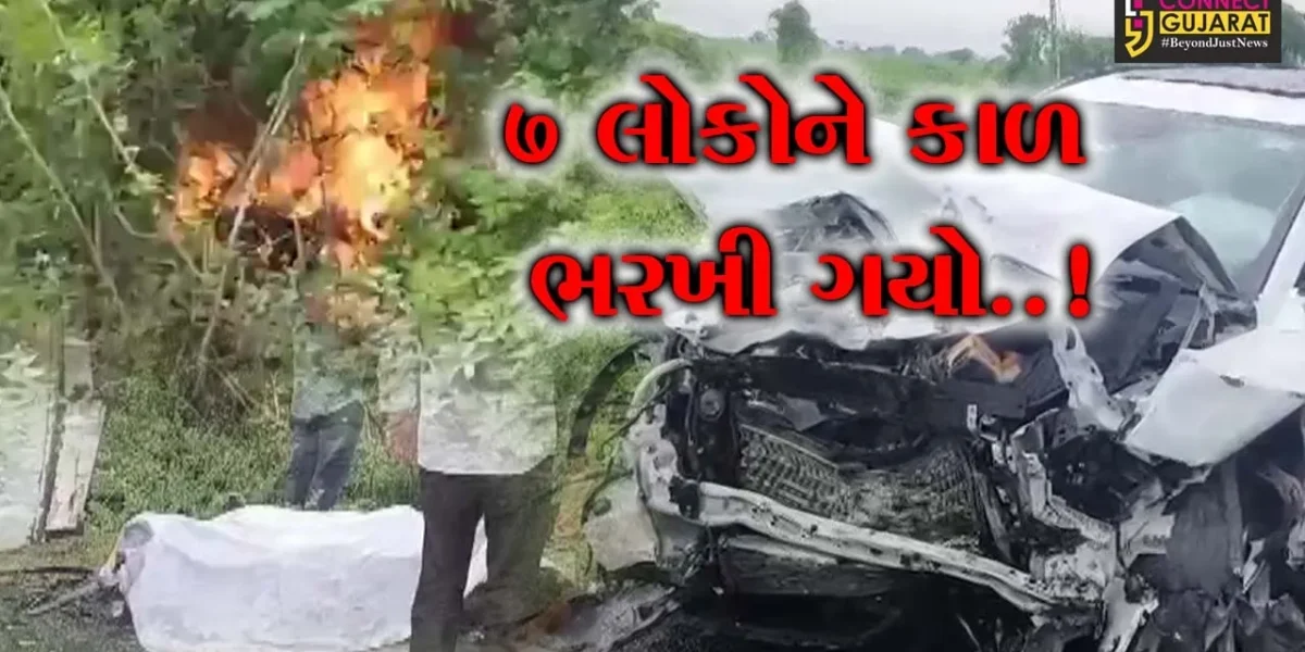 સુરેન્દ્રનગર : વઢવાણ-લખતર હાઇવે પર 2 કાર વચ્ચે ભયંકર ટક્કર, ભડકે બળેલી કારમાં સવાર 8 લોકોના મોત…