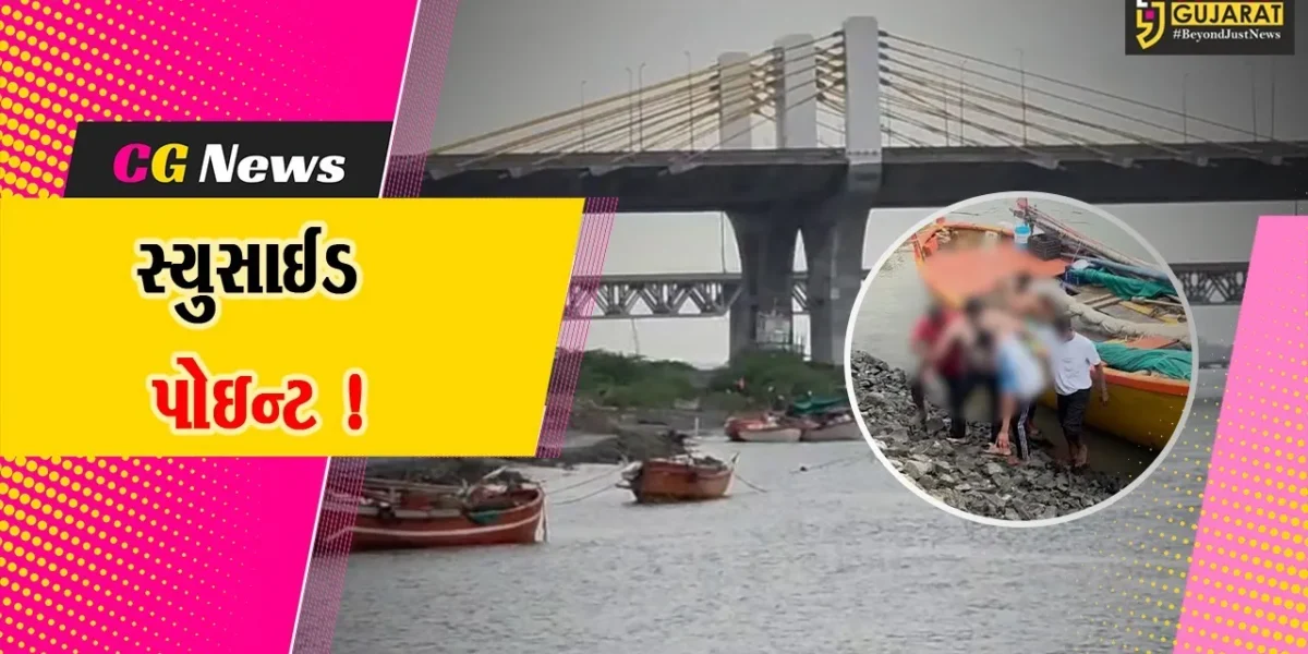 ભરૂચ: નર્મદા મૈયા બ્રિજ પરથી નદીમાં મોતની છલાંગ લગાવવાનો 15 દિવસમાં ત્રીજો બનાવ, સ્થાનિકોએ કર્યું રેસ્ક્યુ ઓપરેશન